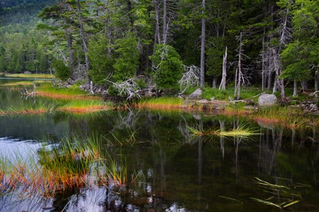 Summer at Upper Hadlock Pond - NHP251